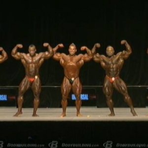 2013 Bodybuilding Images