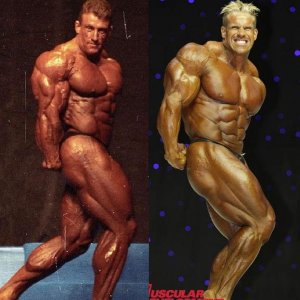 2013 Bodybuilding Images