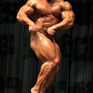 2013 Bodybuilding Images