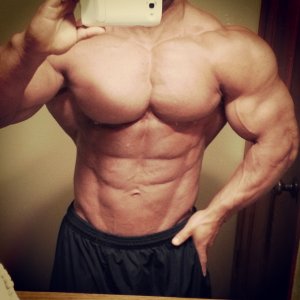 2013 Bodybuilding Images