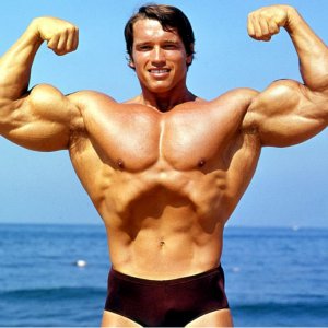 2013 Bodybuilding Images