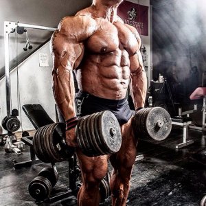 2013 Bodybuilding Images