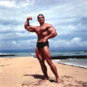 2013 Bodybuilding Images