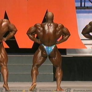 2013 Bodybuilding Images