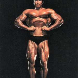 2013 Bodybuilding Images