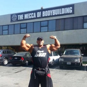 2013 Bodybuilding Images