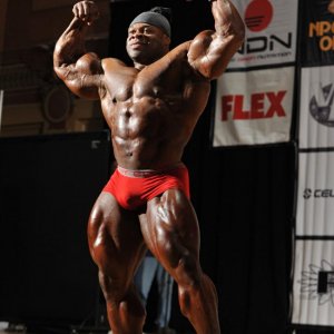 2013 Bodybuilding Images