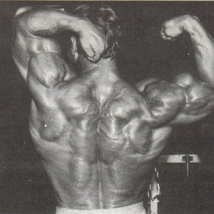 2013 Bodybuilding Images