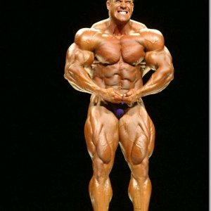 2013 Bodybuilding Images