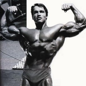 2013 Bodybuilding Images