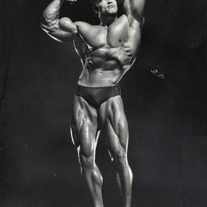 2013 Bodybuilding Images