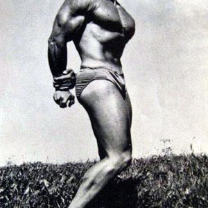 2013 Bodybuilding Images