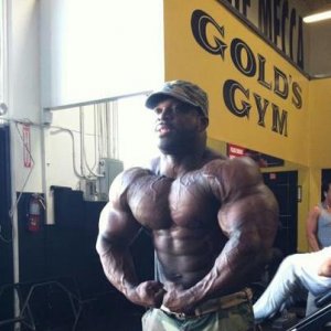 2013 Bodybuilding Images