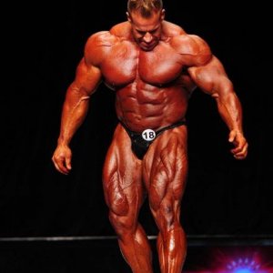 2013 Bodybuilding Images