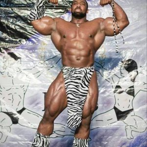 2013 Bodybuilding Images