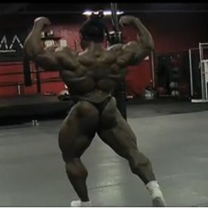 2013 Bodybuilding Images