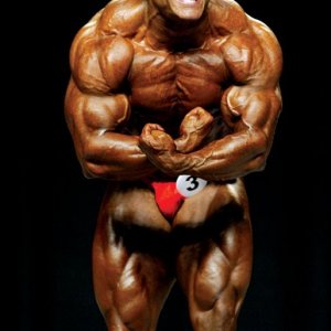 2013 Bodybuilding Images