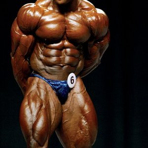 2013 Bodybuilding Images