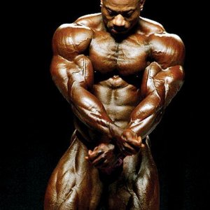 2013 Bodybuilding Images