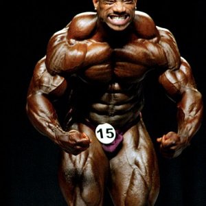 2013 Bodybuilding Images