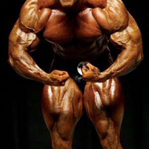 2013 Bodybuilding Images