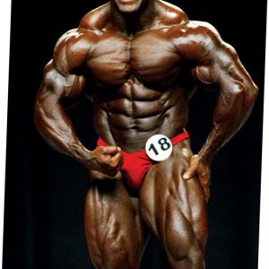 2013 Bodybuilding Images