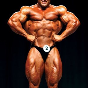 2013 Bodybuilding Images