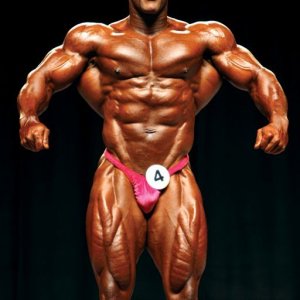 2013 Bodybuilding Images