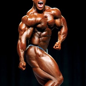 2013 Bodybuilding Images