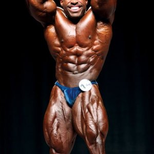 2013 Bodybuilding Images