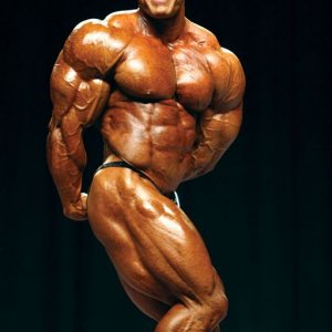 2013 Bodybuilding Images