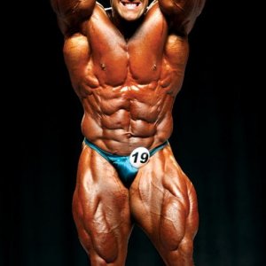 2013 Bodybuilding Images