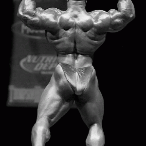 2013 Bodybuilding Images