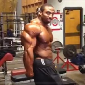 2013 Bodybuilding Images