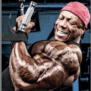 2013 Bodybuilding Images