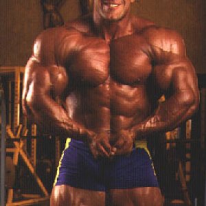 2013 Bodybuilding Images