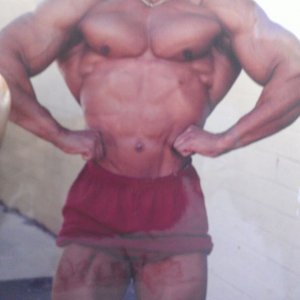 2013 Bodybuilding Images