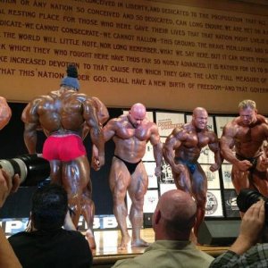 2013 Bodybuilding Images