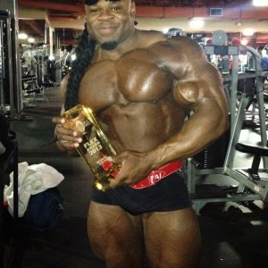 2013 Bodybuilding Images