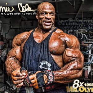 2013 Bodybuilding Images