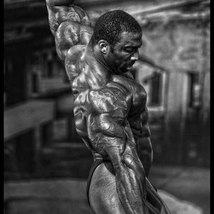 2013 Bodybuilding Images