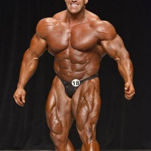 2013 Bodybuilding Images