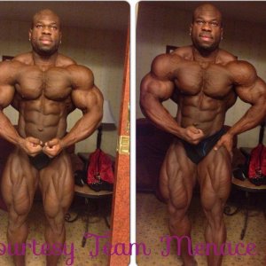 2013 Bodybuilding Images