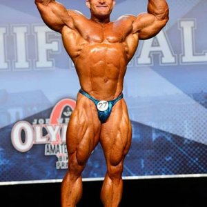 2013 Bodybuilding Images