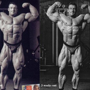 2013 Bodybuilding Images