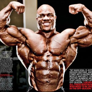 2013 Bodybuilding Images