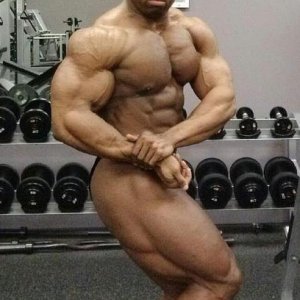 2013 Bodybuilding Images