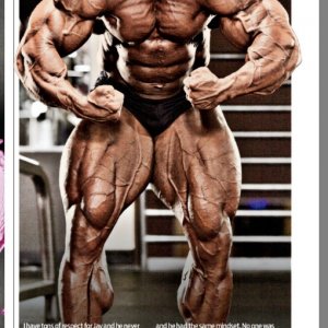 2013 Bodybuilding Images