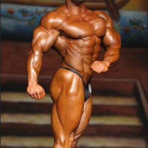 2013 Bodybuilding Images