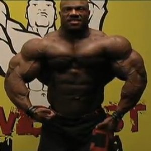 2013 Bodybuilding Images